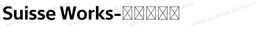 Suisse Works字体转换